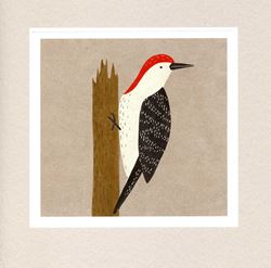 Woodpecker Greeting Card