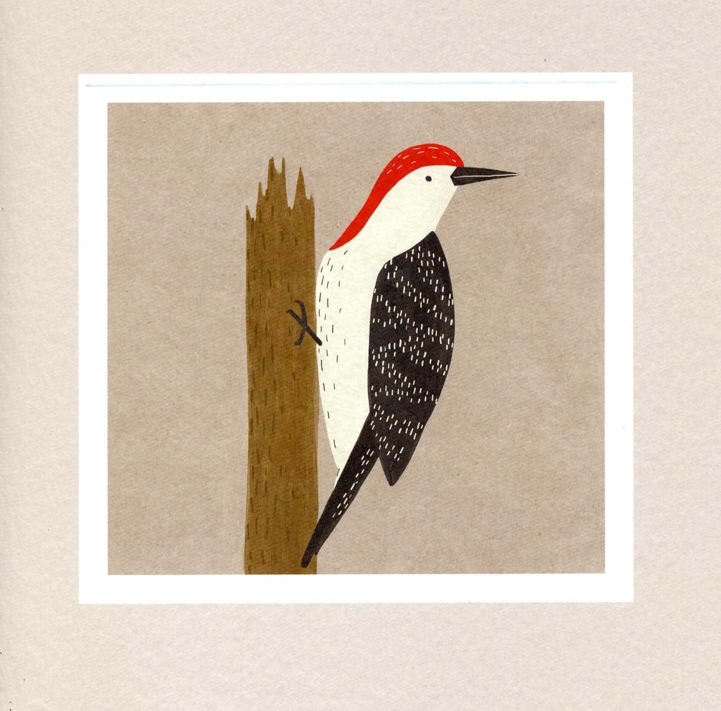 Woodpecker Greeting Card