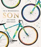 Wonderful Son Birthday Card