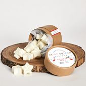 Cinnamon Spice Wax Melts