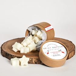 Cinnamon Spice Wax Melts
