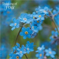 Forget-me-nots Thinking of You Card