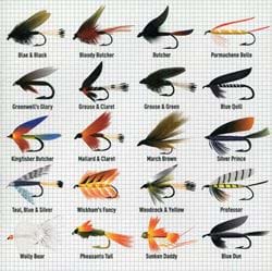Fly Fishing Greeting Card