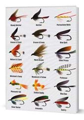 Fly Fishing Notebook