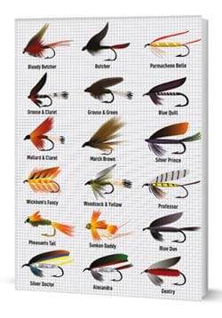 Fly Fishing Notebook