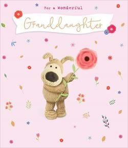 Wonderful Granddaughter Birthday Card