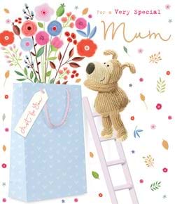 Special Mum Birthday Card