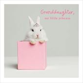 Little Princess Granddaughter Birthday Card