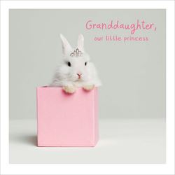 Little Princess Granddaughter Birthday Card