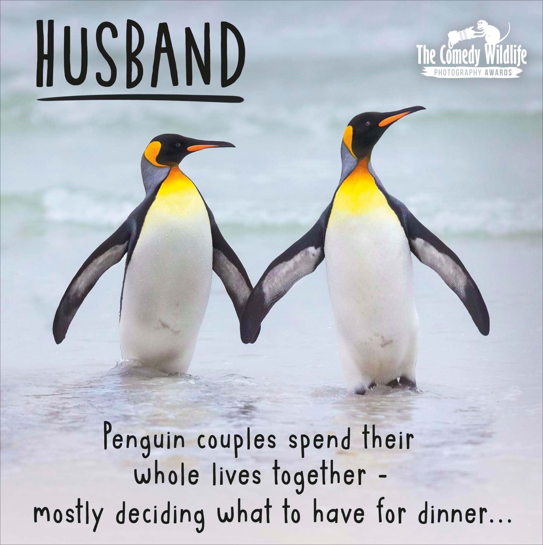 What's For Dinner Husband Birthday Card