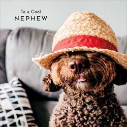 Cool Nephew Birthday Card
