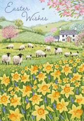 Sheep Field Easter Cards - Pack of 5