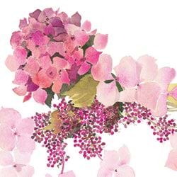 Pink Hydrangea Greeting Card