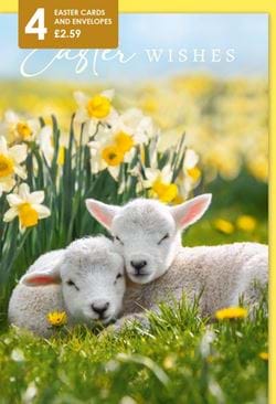 Lambs Easter Cards - Pack of 4