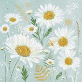 Daisies Greeting Card
