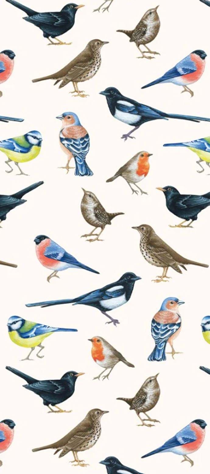 Birds Tissue Paper - 4 Sheets