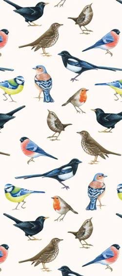 Birds Tissue Paper - 4 Sheets