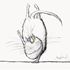 Searle's Cats Notecards - Pack of 6