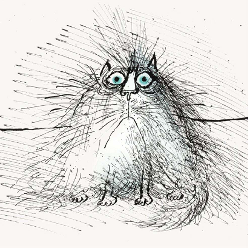 Searle's Cats Notecards - Pack of 6