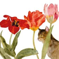 Cat Amongst Tulips Greeting Card