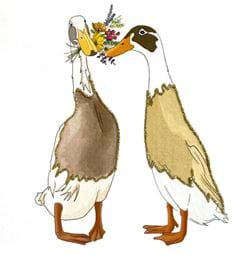 Ducks Greeting Card