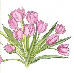 Pink Tulips Greeting Card