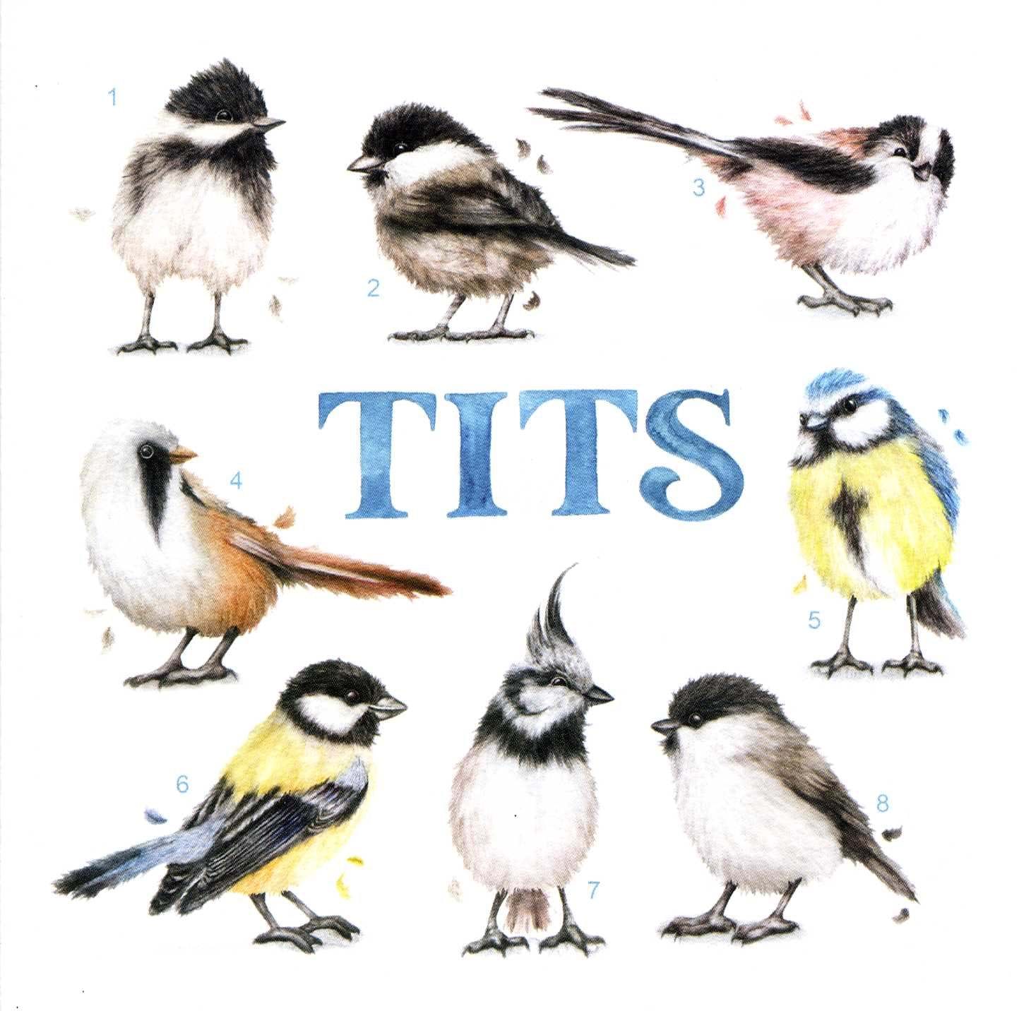 Tits Birthday Card