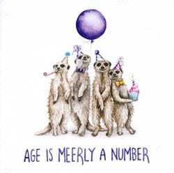 Age is Meerly a Number Birthday Card