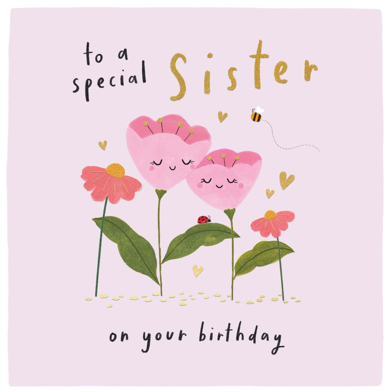 Special Sister Birthday Card