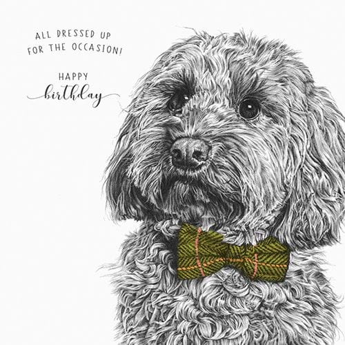 All Dressed Up Birthday Card