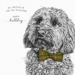 All Dressed Up Birthday Card
