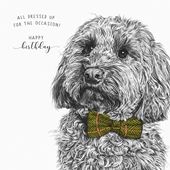 All Dressed Up Birthday Card