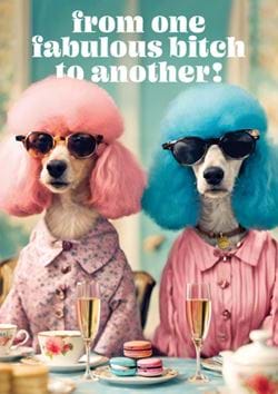 Fabulous Bitch Birthday Card