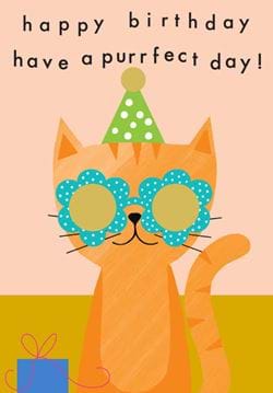 Orange Cat Birthday Card