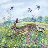 Hare and Swallows Greeting Card