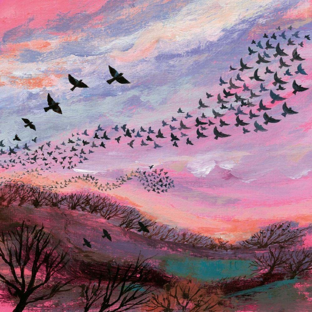 Red Sky At Night Greeting Card