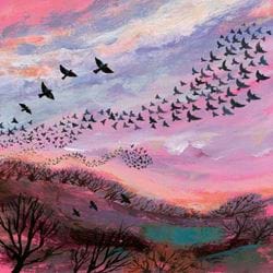 Red Sky At Night Greeting Card