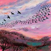 Red Sky At Night Greeting Card