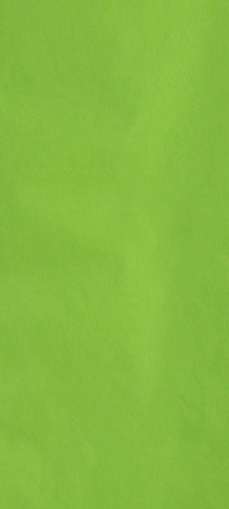 Bright Green Tissue Paper - 4 Sheets