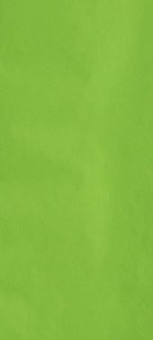 Bright Green Tissue Paper - 4 Sheets