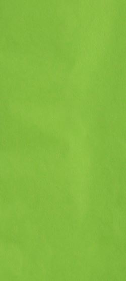 Bright Green Tissue Paper - 4 Sheets