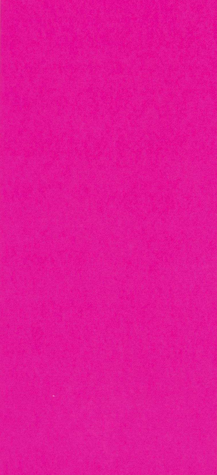 Bright Pink Tissue Paper - 4 Sheets