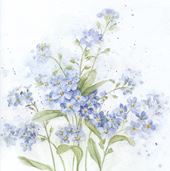 Forget Me Not Greeting Card