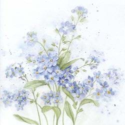 Forget Me Not Greeting Card