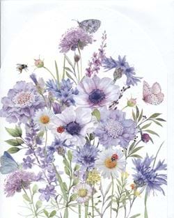 Sacbious and Cornflowers Greeting Card