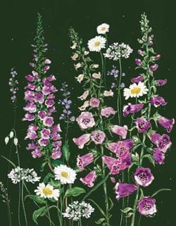 Wild Foxgloves Greeting Card