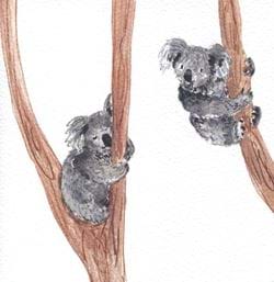 Koalas Greeting Card