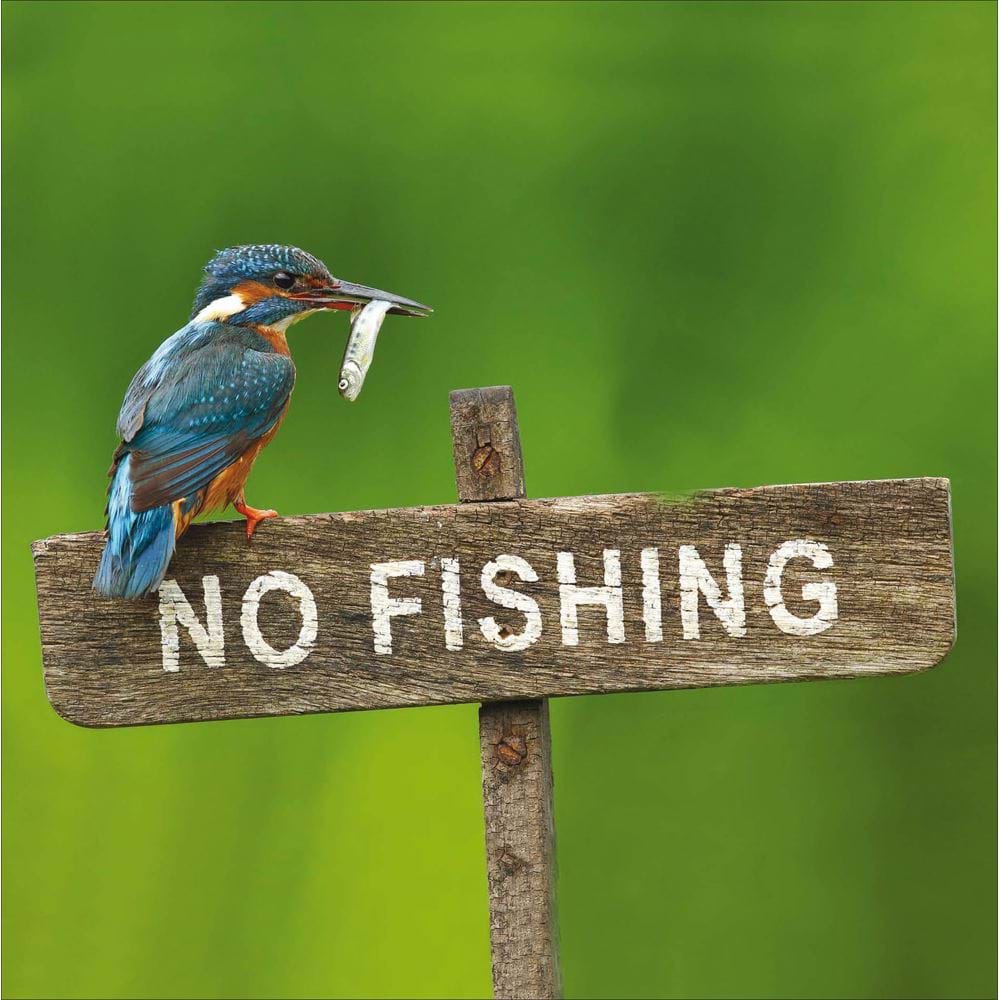 No Fishing Greeting Card