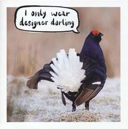 Only Wear Designer Birthday Card