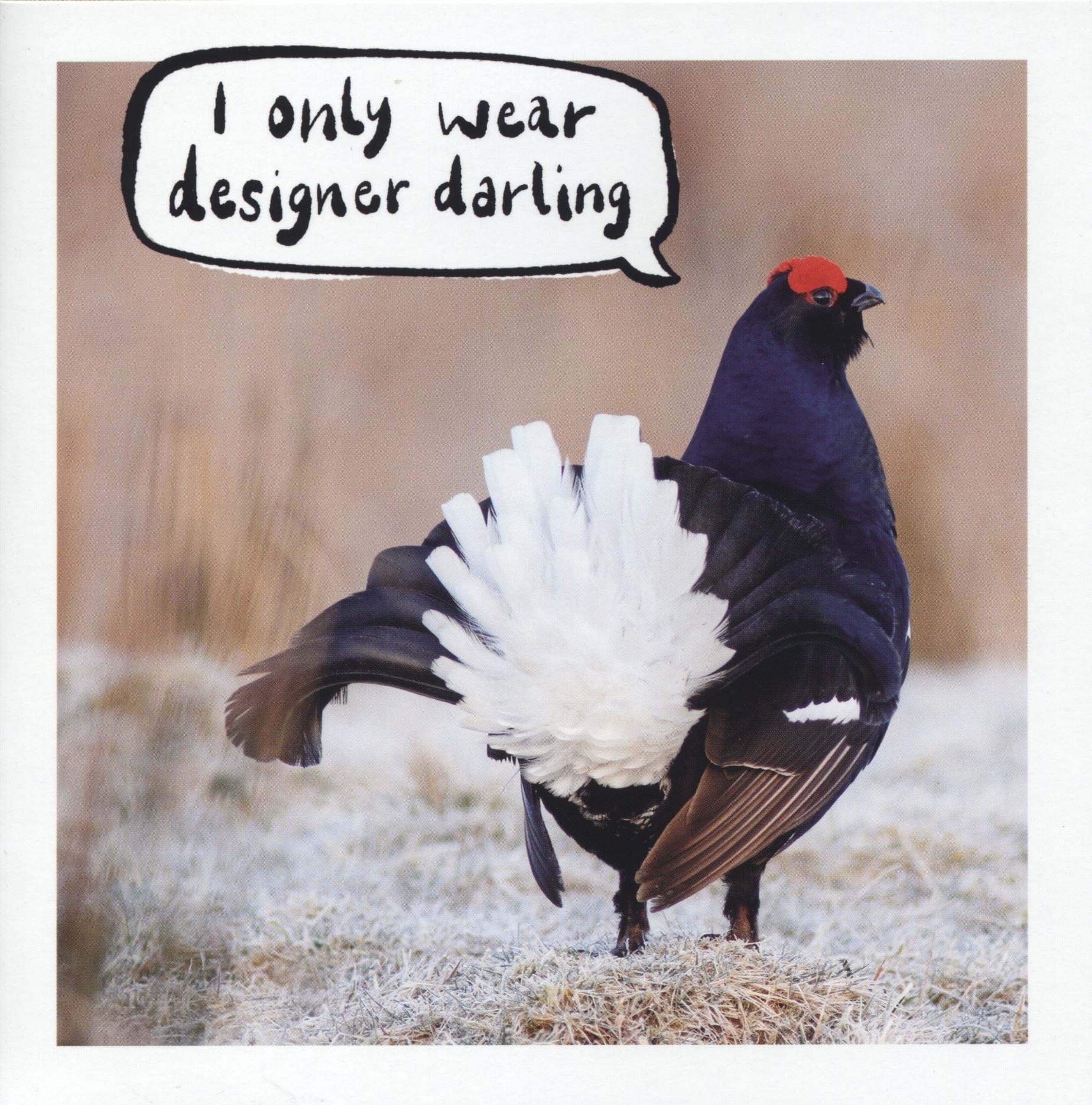 Only Wear Designer Birthday Card